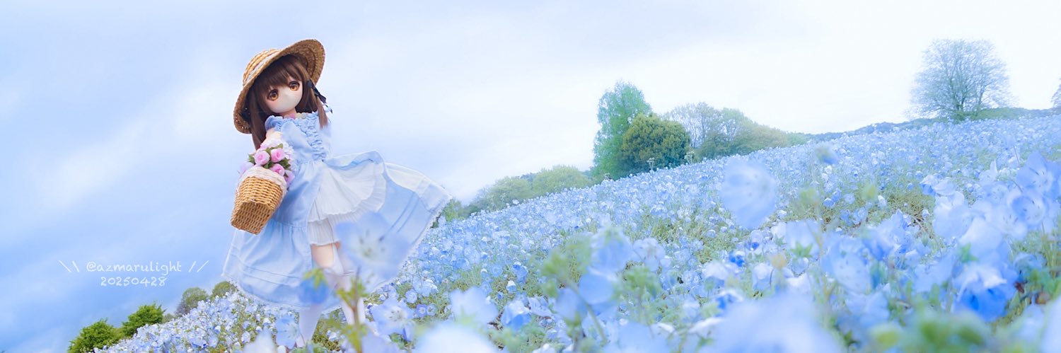 らいと🫠 banner