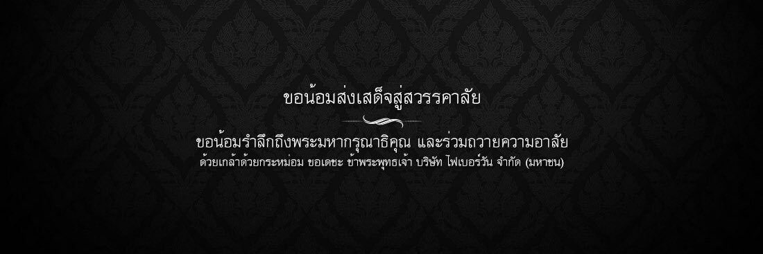 Fiberone Official banner