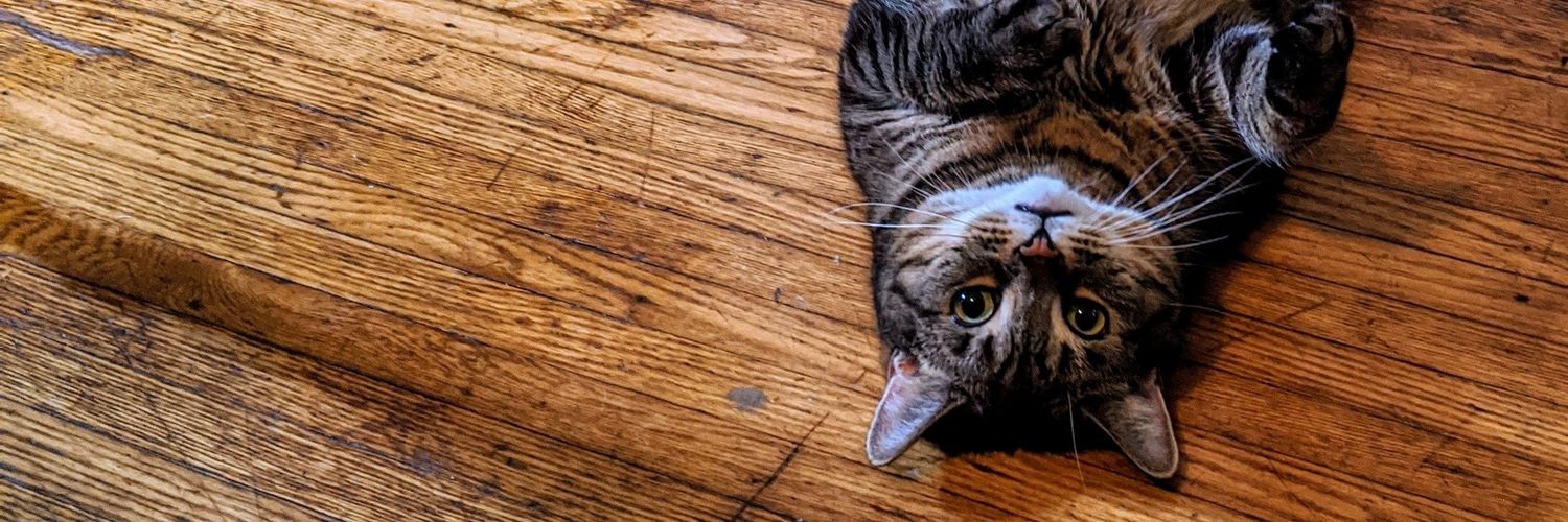 Paula Blart, LADY Mall Cop, Ultra PhD, IQ: 212 banner