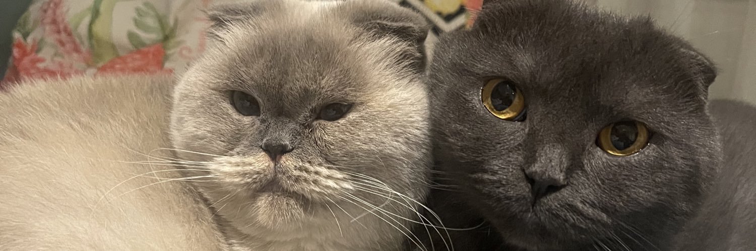 ErdinElif's profile banner image