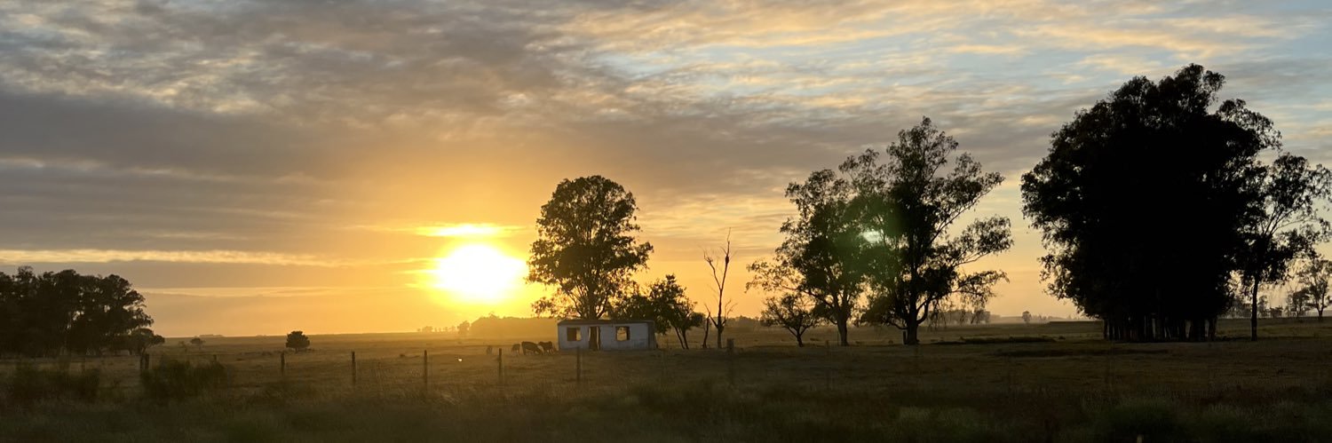 willroesch's profile banner image