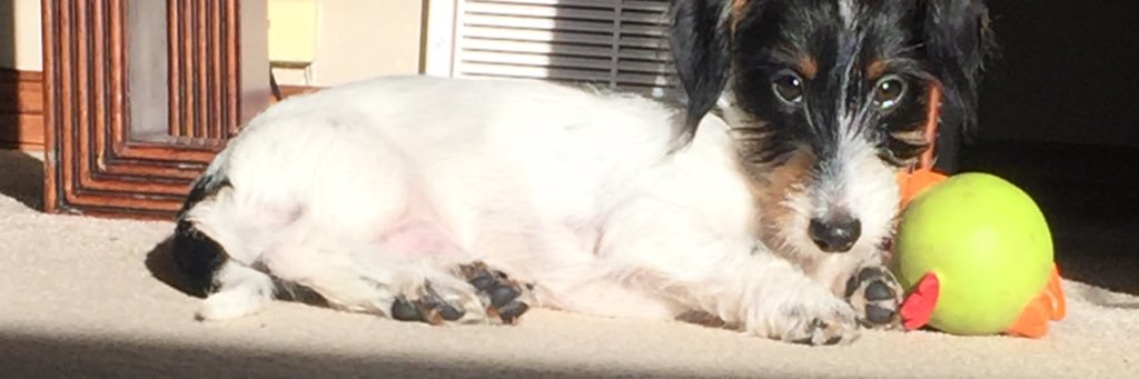 Sammywamster's profile banner image