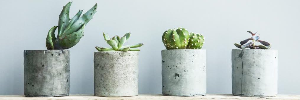 MaryJaneThrive's profile banner image