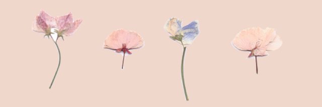 EffectualFacade's profile banner image