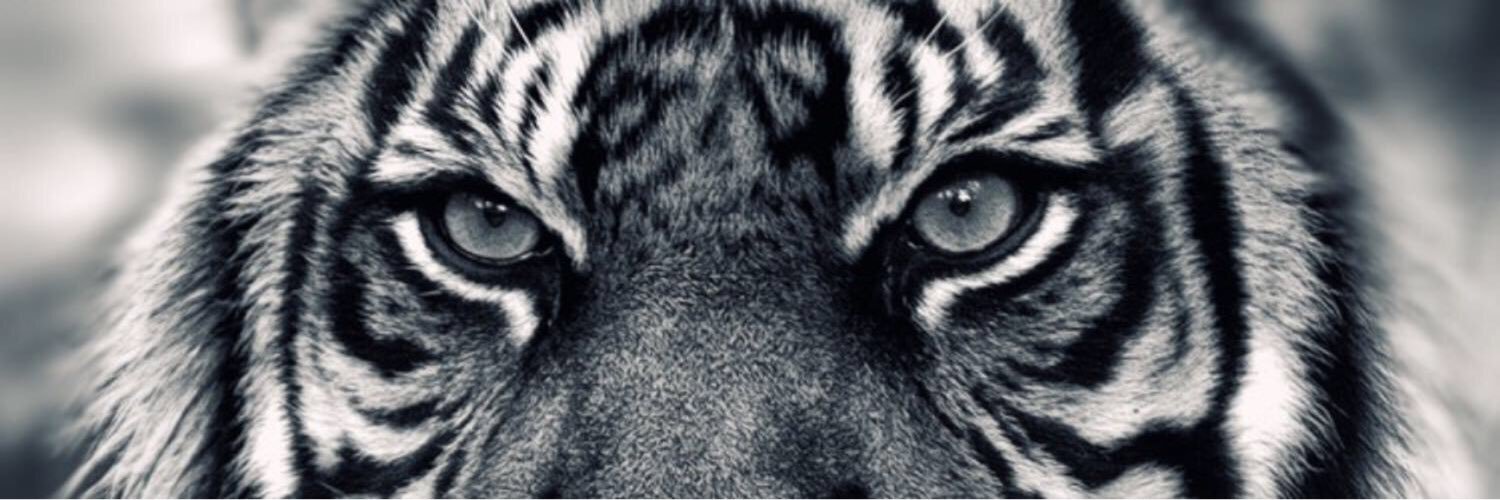 JuanJim's profile banner image