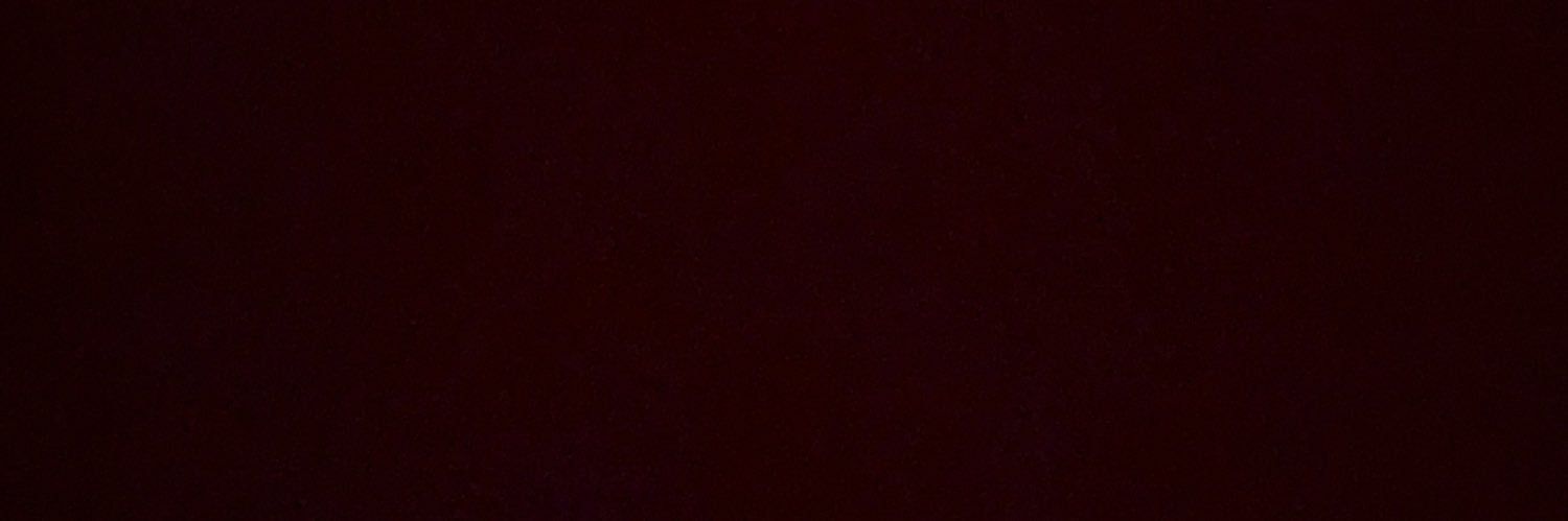 patocaputo's profile banner image