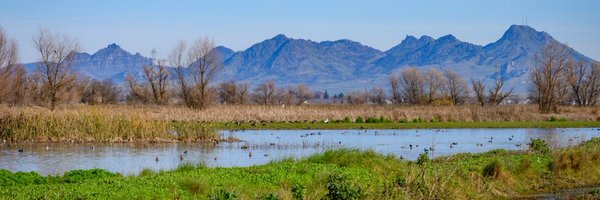 caliking49er17 Profile Banner