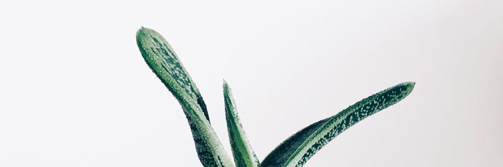 al_hunof's profile banner image