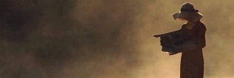 Jose_Morelos1's profile banner image