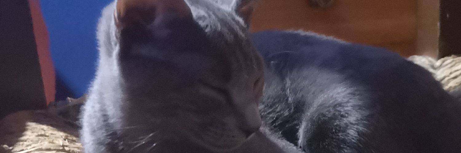 Damarag97's profile banner image