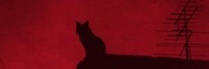 iWnt3r's profile banner image