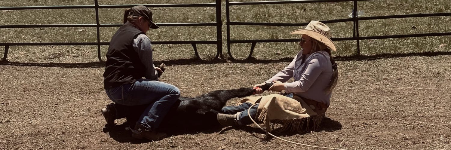 taylor_frenzel's profile banner image