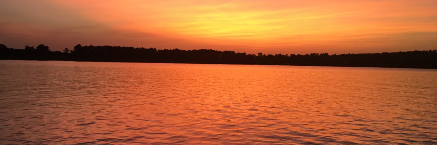 John Livingstone banner