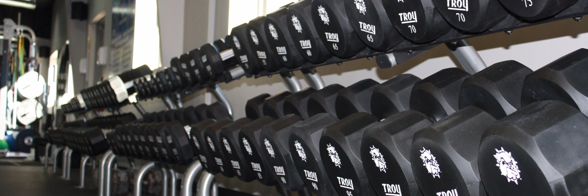 SWOSUstrength's profile banner image