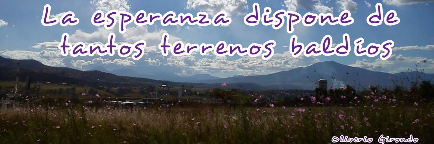 TangerinSmorgas's profile banner image