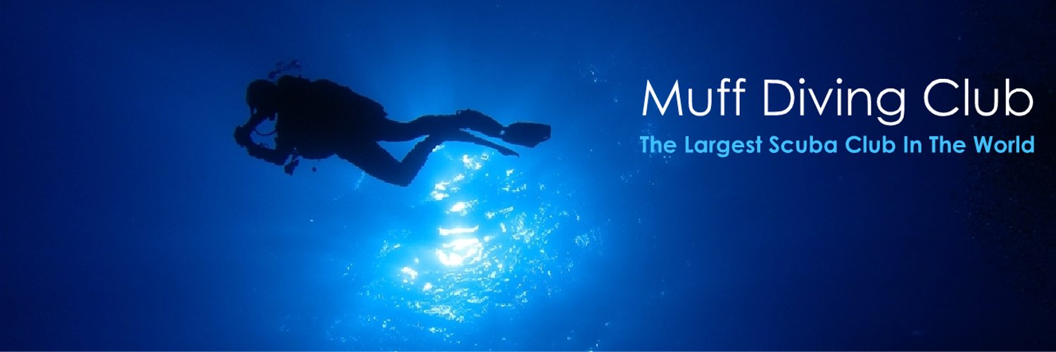 Muff Diving Club Muffdivingclub Twitter 