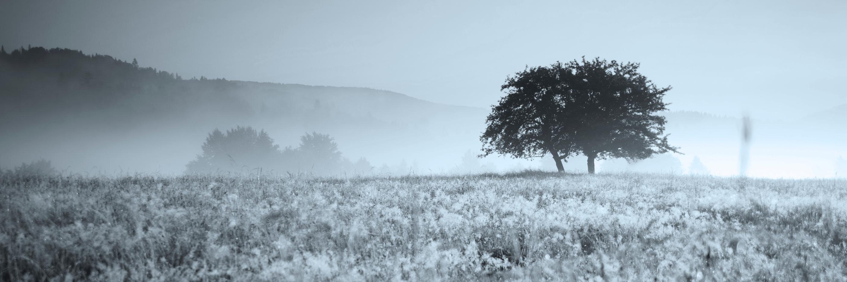 MilnerLtd's profile banner image