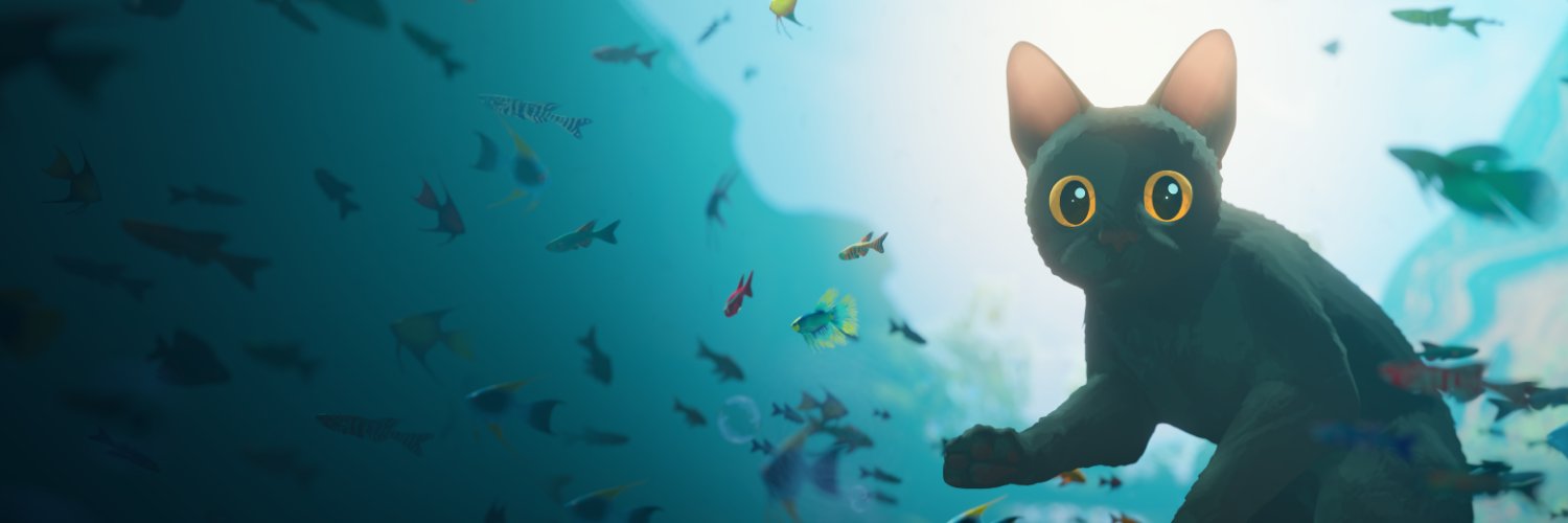 rockedrigo's profile banner image