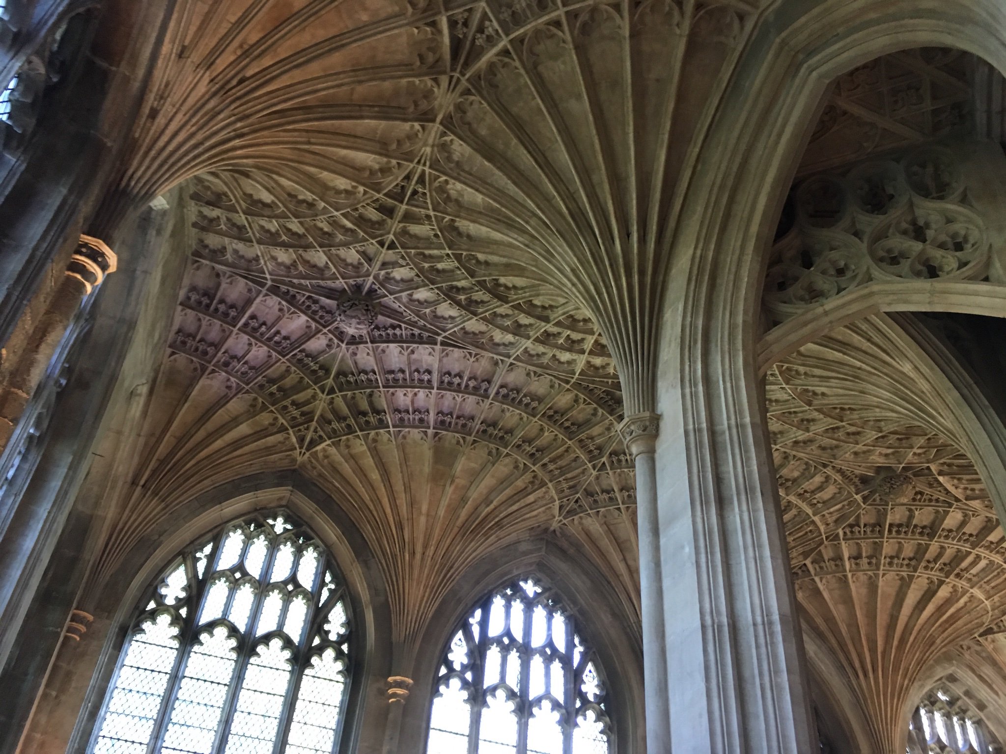 Rebecca Schofield banner