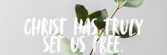 kayleespurlock's profile banner image
