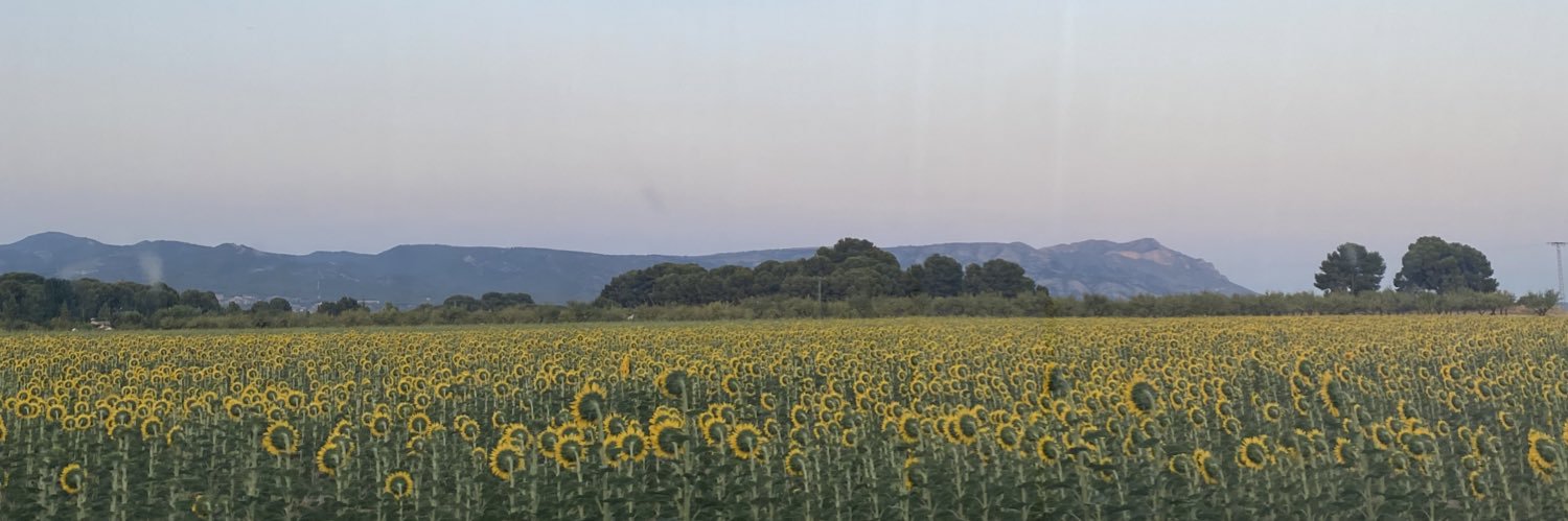 rebecaamolla's profile banner image