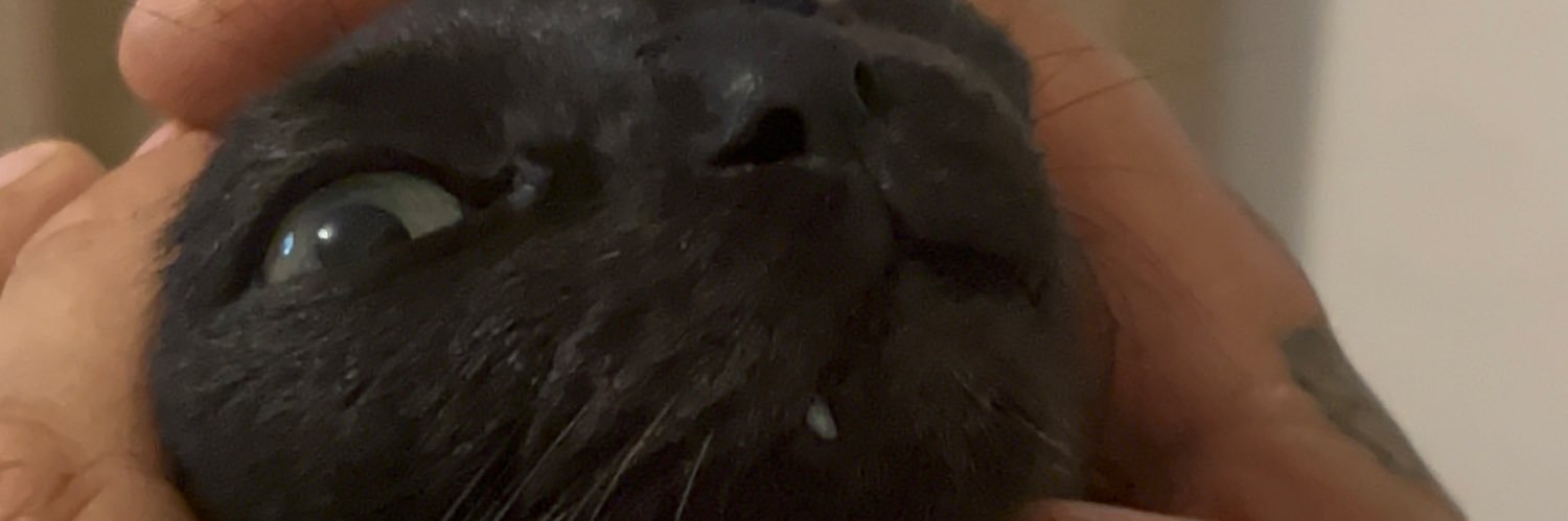 _Claravm's profile banner image