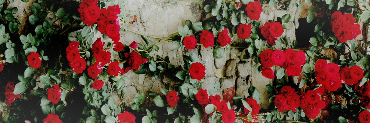 hurricane whispers banner