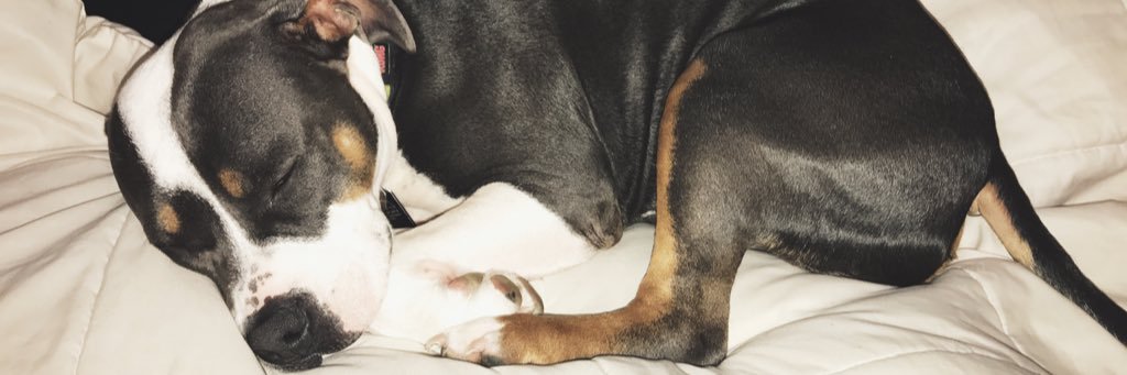 diggitydee14's profile banner image