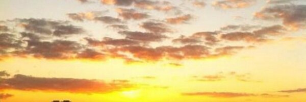 staygold Profile Banner