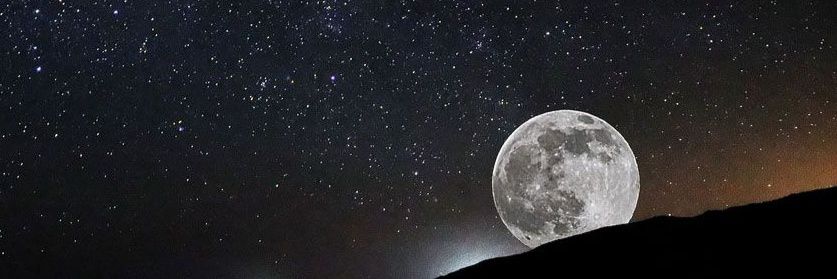 whitehol3's profile banner image