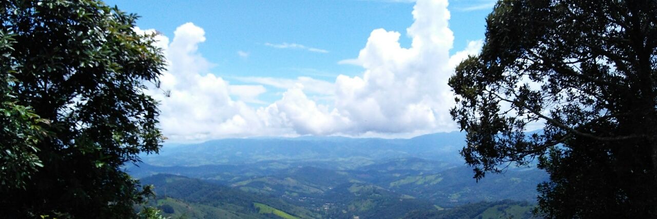 rosemariano's profile banner image
