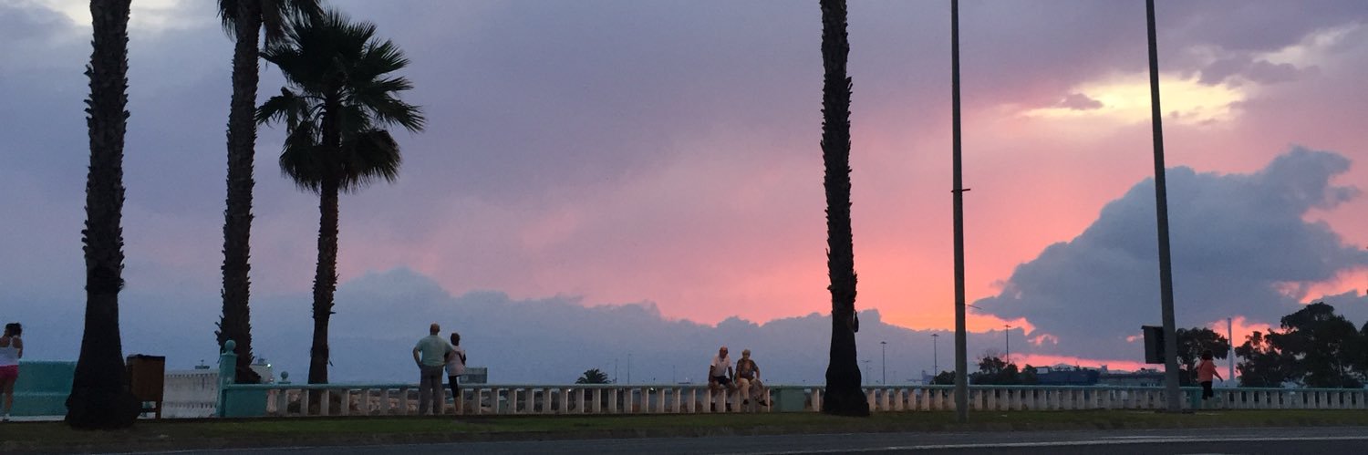 Raquel Português banner