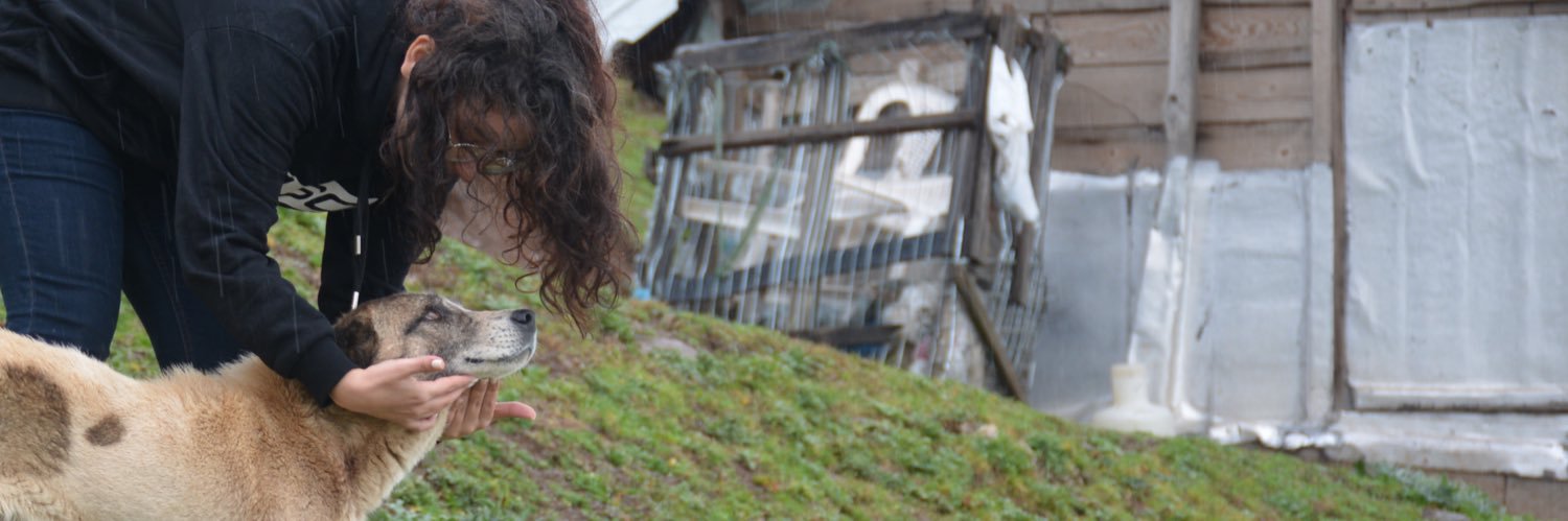 سوپرموفر banner