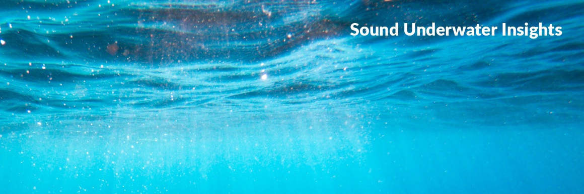 BioSonics, Inc. banner