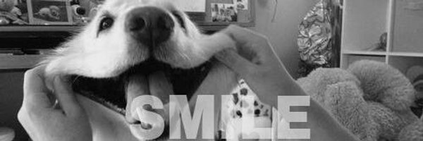 Elo_says Profile Banner