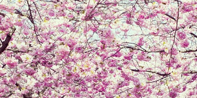 marta_130595's profile banner image