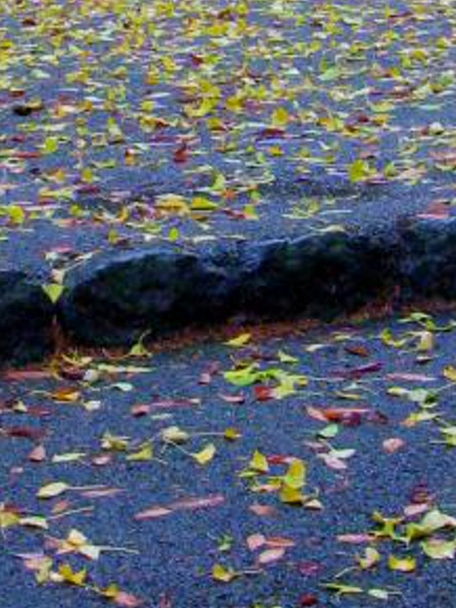 blitinepol's profile banner image