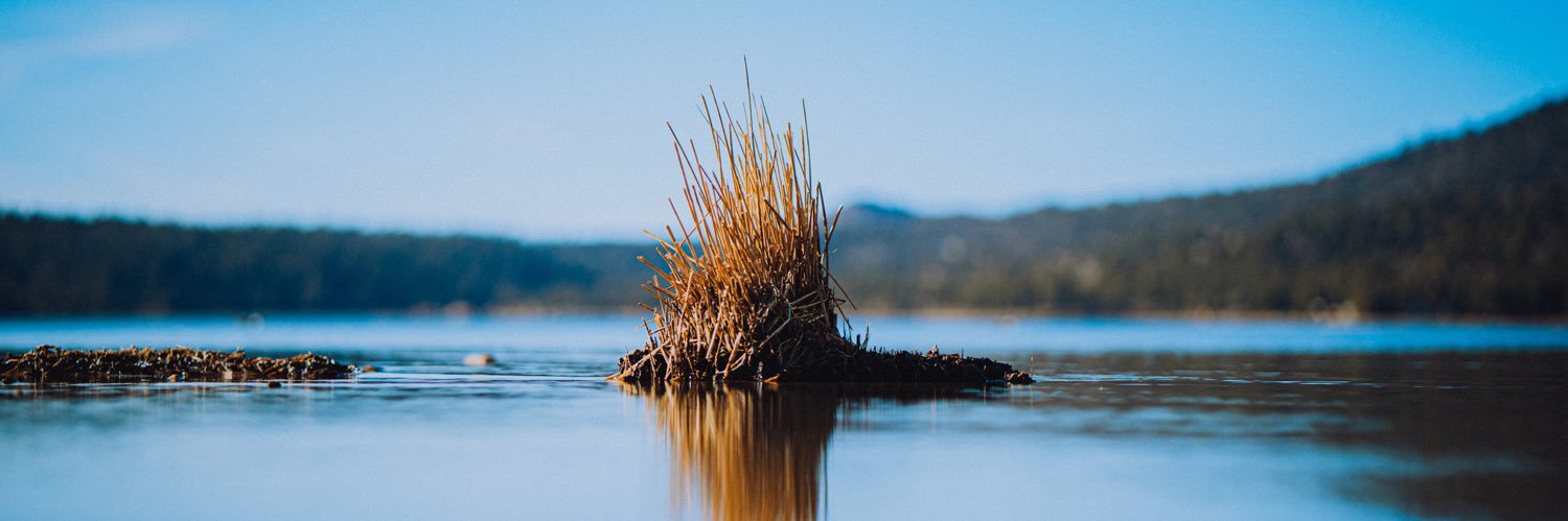 Steven Leflar banner