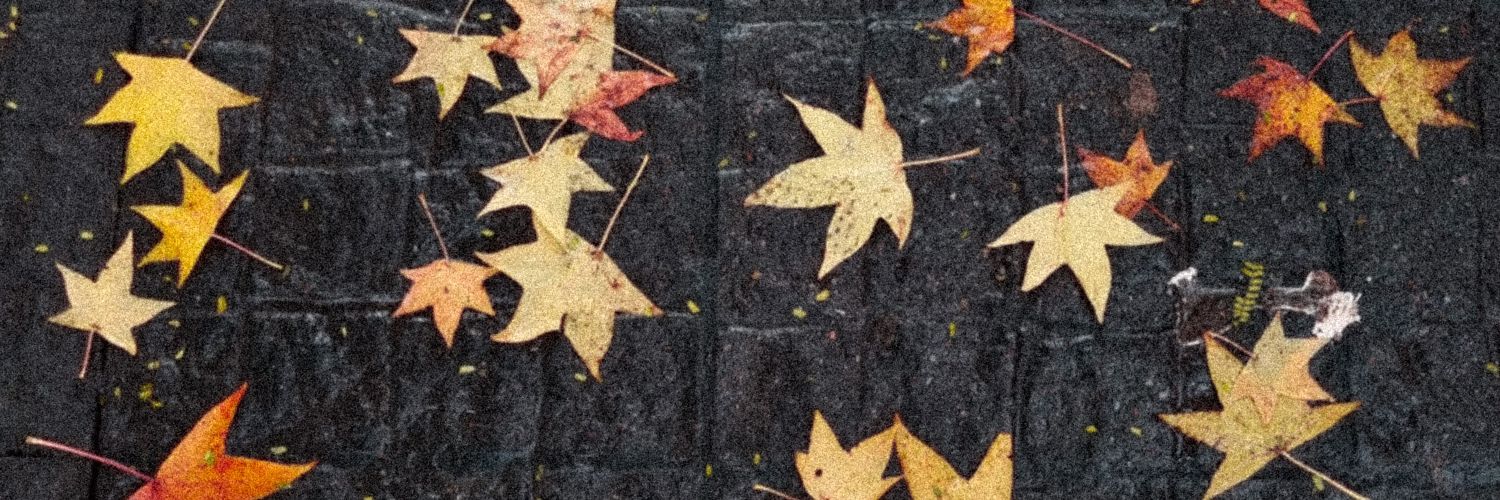 emeceo_'s profile banner image