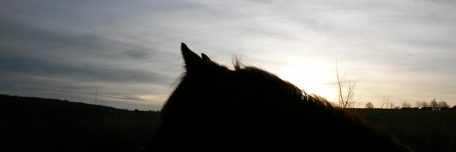 nikitasnackers's profile banner image