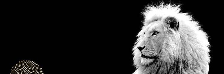 JimmyDevineIII's profile banner image