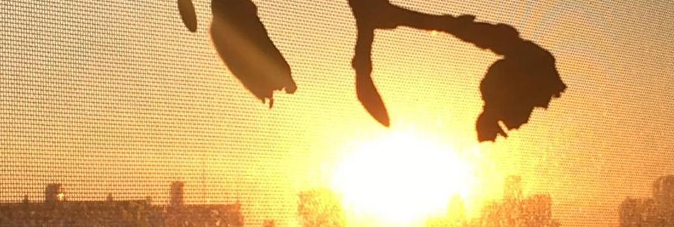 사서 이용훈 banner