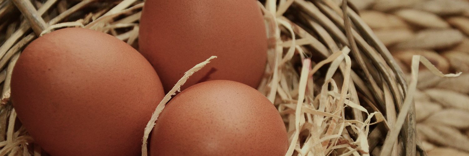AL Poultry & Egg banner