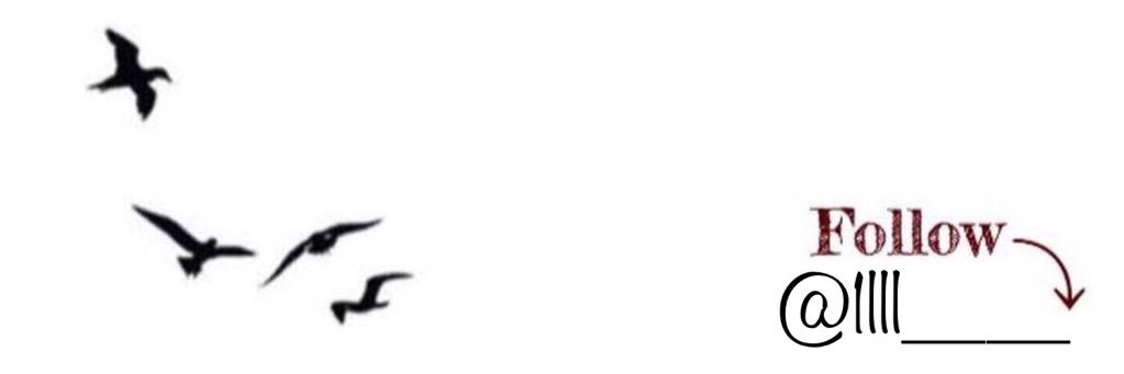 1lll____'s profile banner image