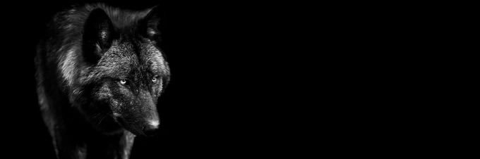 ERod128's profile banner image