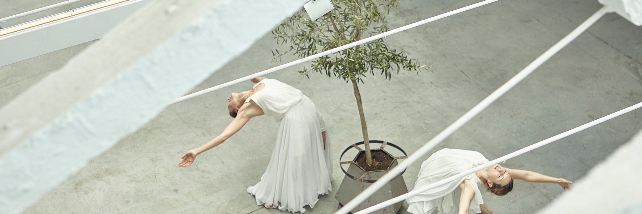 BIONIC FESTIVAL banner