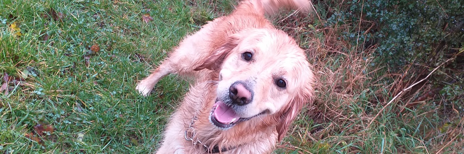 Lynn Wainwright banner