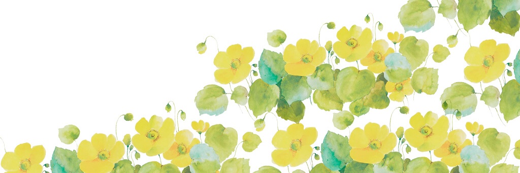 shima_hoho's profile banner image