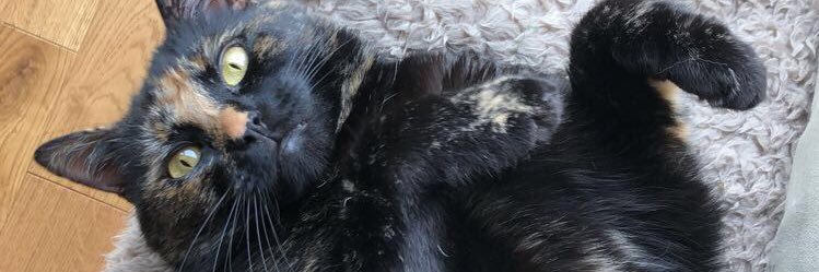 _edenfoster's profile banner image
