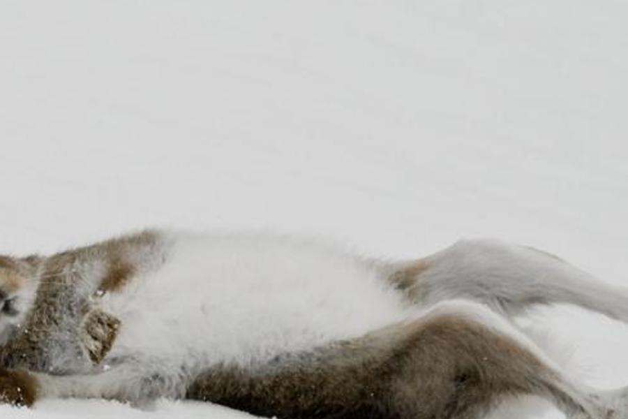 nonagho's profile banner image